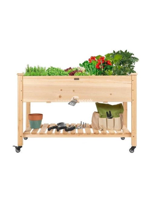 Guruló fa palántázó