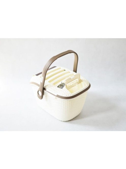 Kisállat szállító doboz (Curver)