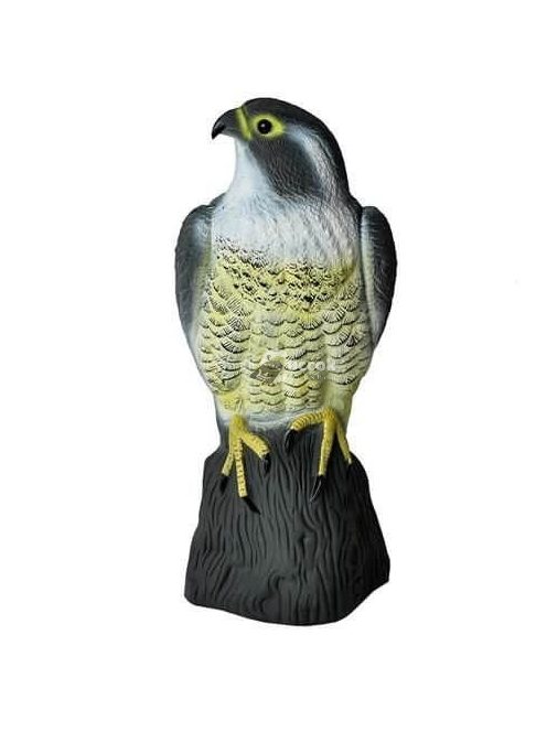 Sólyom madárijesztő