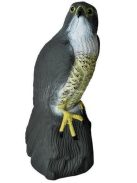 Sólyom madárijesztő