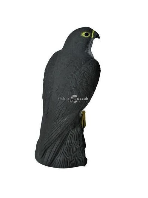 Sólyom madárijesztő