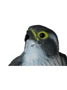 Sólyom madárijesztő