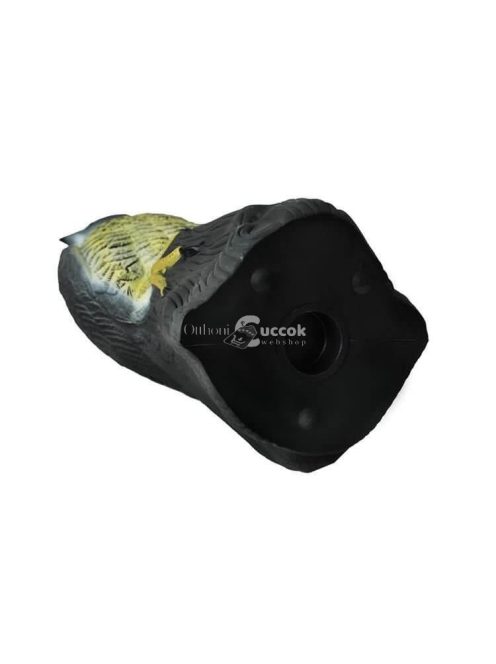 Sólyom madárijesztő