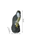 Sólyom madárijesztő