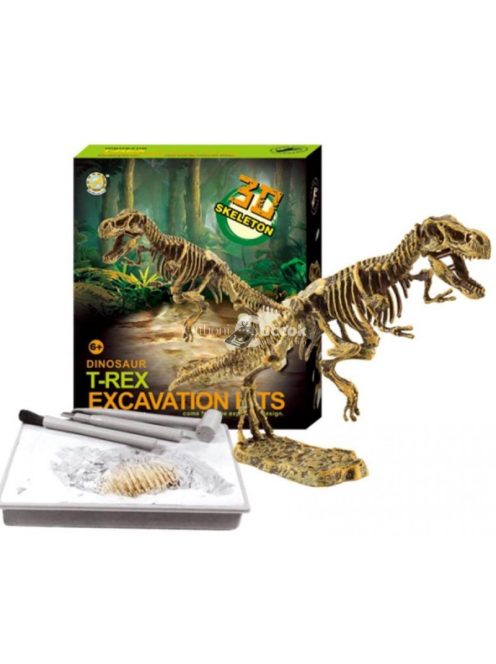 Dinoszaurusz régész készlet - T-Rex