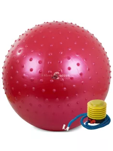 Gimnasztikai edzőlabda pumpával (55 cm)