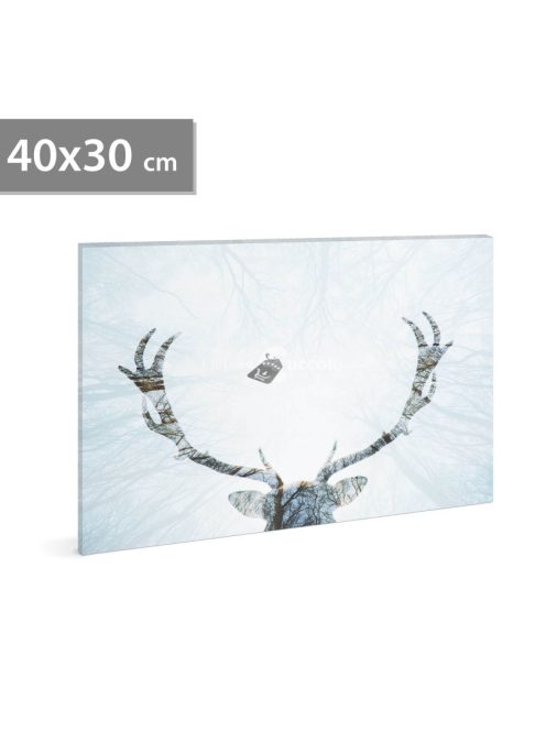 LED-es fali hangulatkép - rénszarvasos (40 × 30 cm)