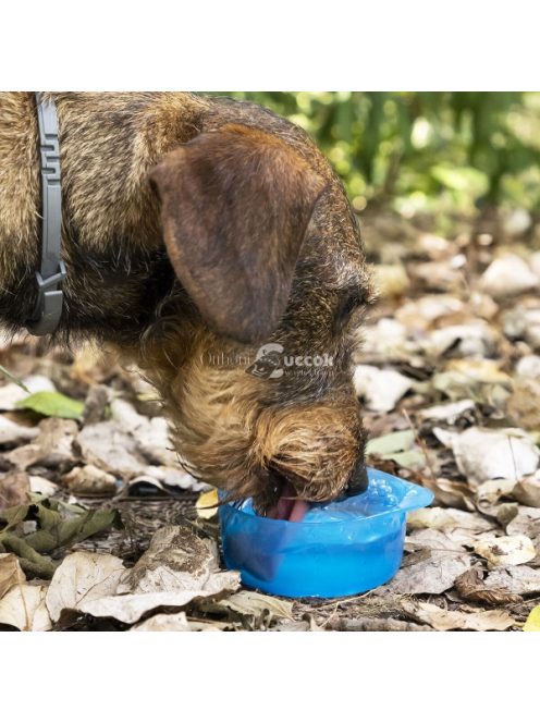 2 az 1-ben palack víz és-, eledeltartókkal háziállatok számára