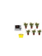 Napelemes csepegtető öntözőrendszer