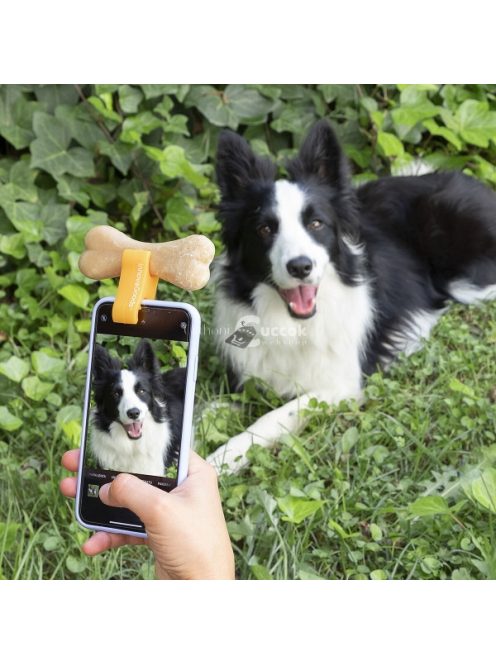 InnovaGoods - Kisállat szelfi csipesz telefonra