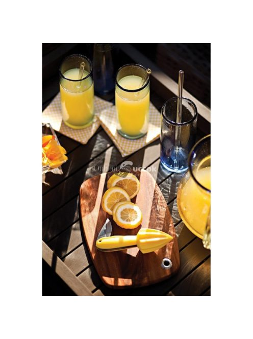 Perfect Home Citromfacsaró 4in1