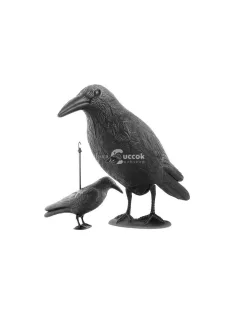 Madárijesztő holló