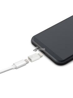 Delight Adapter - iPhone Lightning - MicroUSB