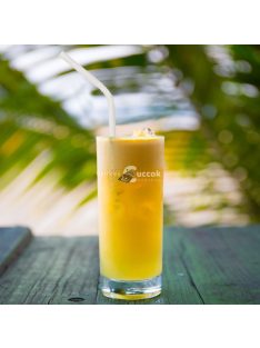 Family Papír szívószál