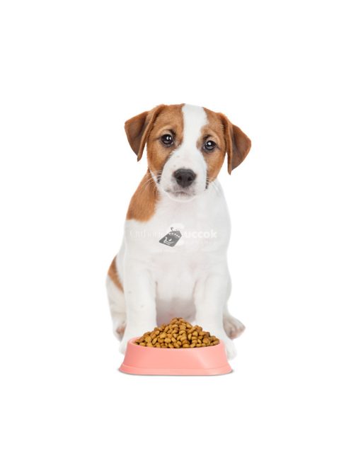 Yummie Etetőtál habzsolásgátlóval - 20 x 20 x 4,5 cm