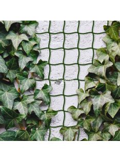  Garden of Eden Növényfuttató háló - 5 m x 50 cm - vágható műanyag - sötétzöld