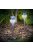 Garden of Eden LED-es szolár lámpa - leszúrható - szálcsiszolt fém + üveg - 270 mm