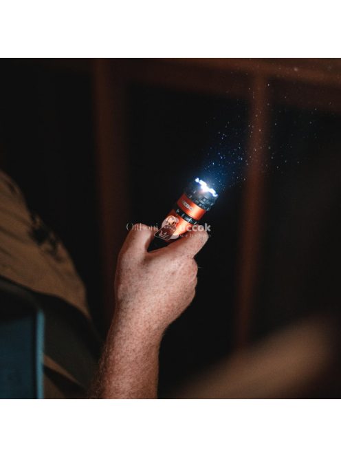 NEBO NEB-FLT-1018-G Master Series FL750 zseblámpa, 750 lm - 45 lm, 121 m, 5 funkció, IP67, mágneses, zsebcsipesz