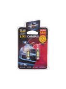 Carguard LED izzó