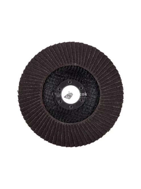 EXTOL PREMIUM lamellás csiszoló acél, Alu, műa. és fa munkadarabok csiszolására, 125×22mm; P60, kúpos, max.:12.300 ford./perc, E