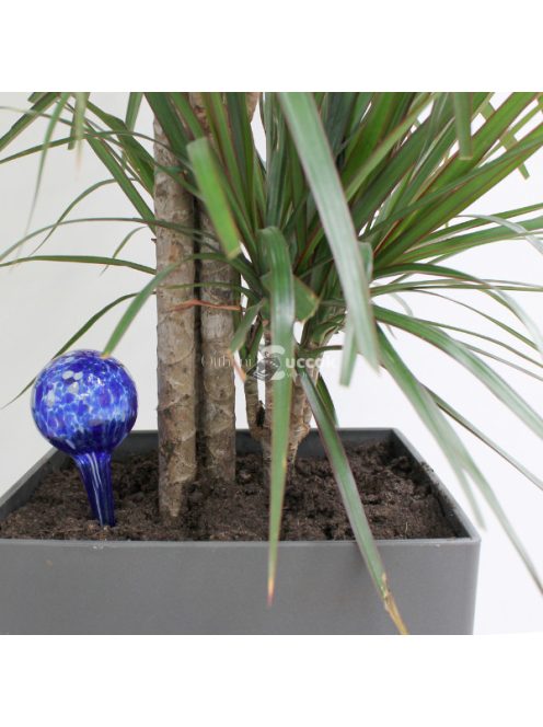 Genius Ideas Mini-Bulb Vízadagoló - 2 darabos készlet