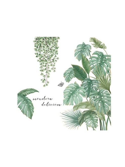 Trópusi álom falimatrica