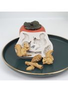 1db Mókus mintájú Szilikon Forma