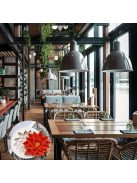 Karácsonyi piros virág szilikon öntőforma sütéshez és cukorka díszítéshez