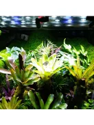 1 db állítható párásító fúvóka terráriumhoz