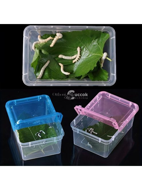 Átlátszó Hüllő hordozó