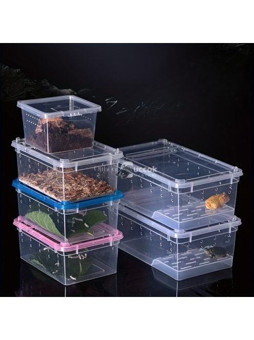 Átlátszó Hüllő hordozó