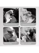 Vízálló poliészter autós csomagtartó bélés háziállatok számára