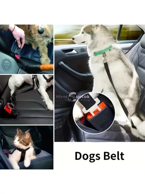 1 db kisállat biztonsági öv kutyáknak és macskáknak