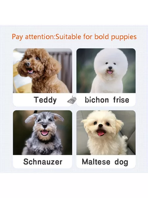 Interaktív Labda Játék Kutyusoknak - USB-vel Tölthető, Tartós Termoplasztikus Gumi