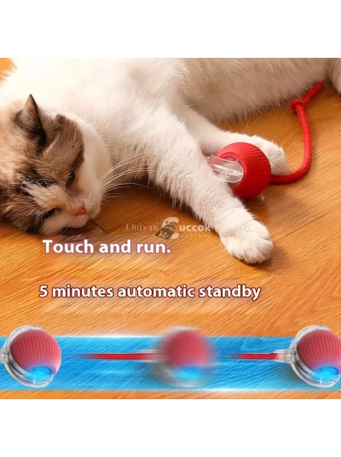 Whisker Wonders USB újratölthető interaktív macskajáték labda