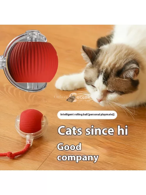 Whisker Wonders USB újratölthető interaktív macskajáték labda