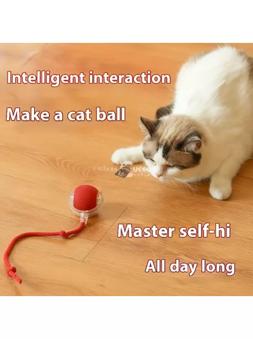 Whisker Wonders USB újratölthető interaktív macskajáték labda