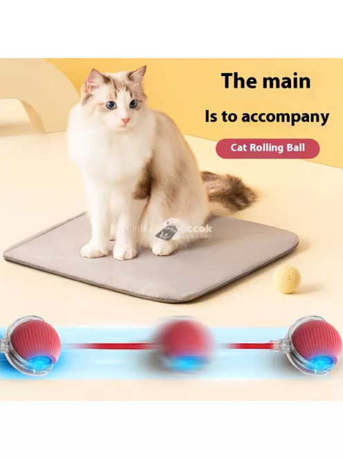 Whisker Wonders USB újratölthető interaktív macskajáték labda