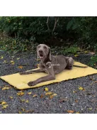 1 Db Hordozható És Összecsukható Kutyatakaró, Vízálló, Könnyen Tisztítható Kutyaketrec Alátét