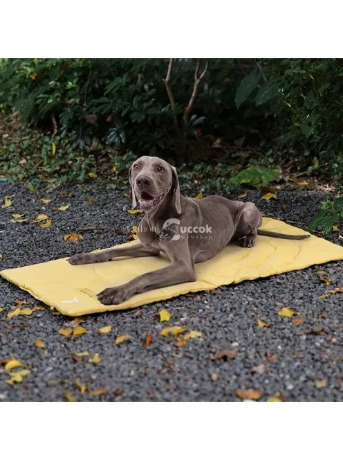 1 Db Hordozható És Összecsukható Kutyatakaró, Vízálló, Könnyen Tisztítható Kutyaketrec Alátét