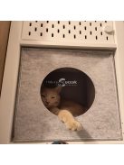 Filc macskabarlang párnával