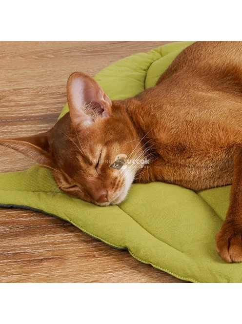 Hangulatos, levél alakú kisállatszőnyeg