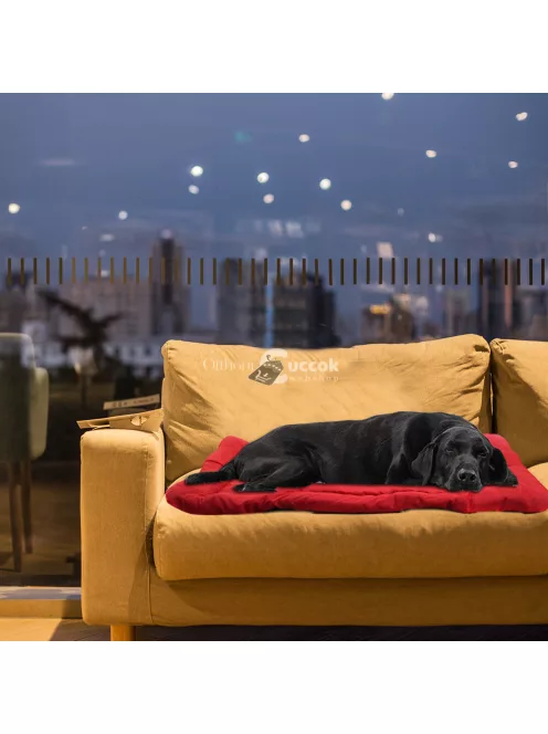 Hordozható, vízálló, összecsukható kutyaággyal