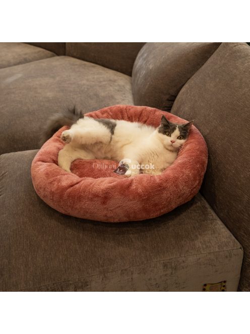 Kutyaágy Kerek Kisállat párna