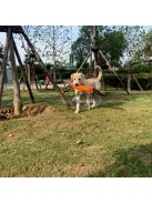 Kutyakiképző Berendezés, Szakadásálló Ruhával