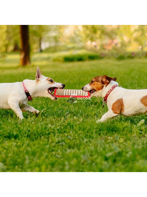 Tartós Juta rágójáték Kutyáknak