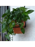 összecsukható kutyatál tartó konzol