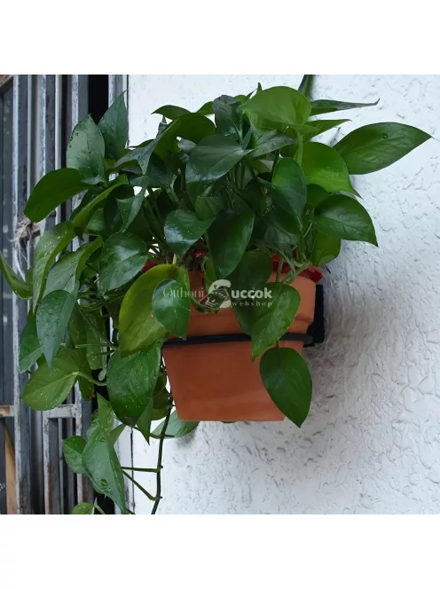 összecsukható kutyatál tartó konzol