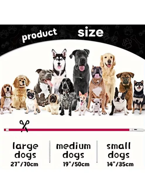 Áll0tható LED kutyanyakörv