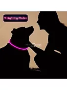 Áll0tható LED kutyanyakörv